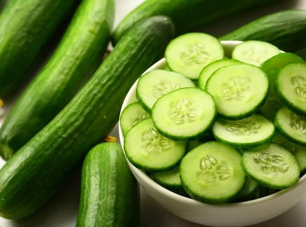 تصویر 2 از قیمت خرید خیار سبز گلخانه ای + فروش ویژه